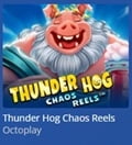 THUNDER HOG – chaos reels