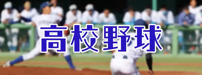 夏の高校野球