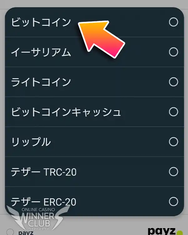 利用したい通貨を選ぶ